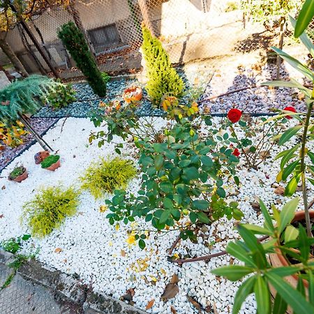 Apartamento Devin Coworking & Coliving Exterior foto